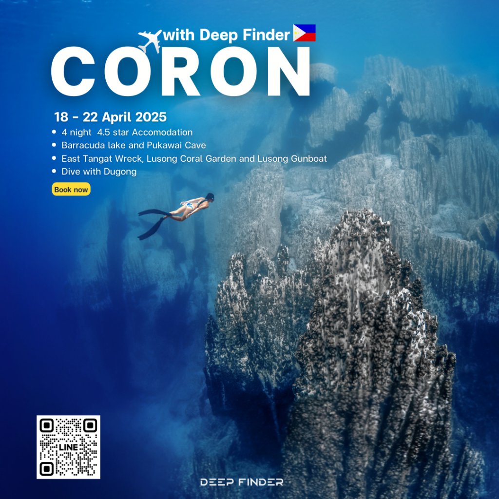 Freediving Coron