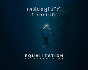 เคลียร์หู freediving